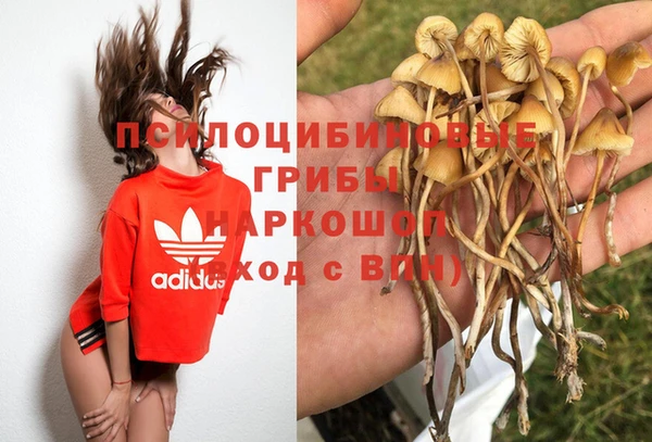 ешки Алексеевка