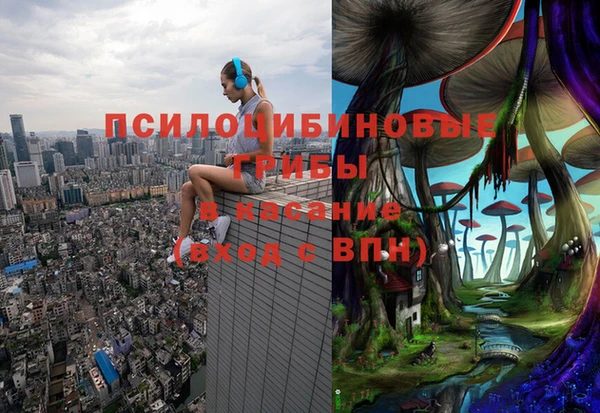 ешки Алексеевка